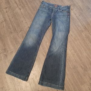 Silver Jeans Sarah 29x33 TALL Flare
